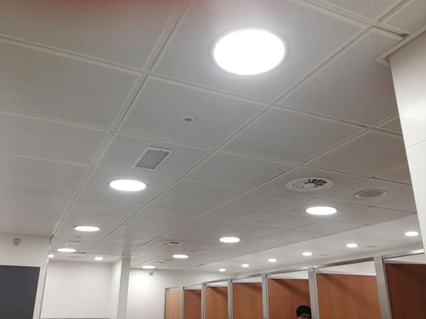 Chế độ ánh sáng trắng phù hợp sử dụng cho không gian phòng họp hay khách sạn